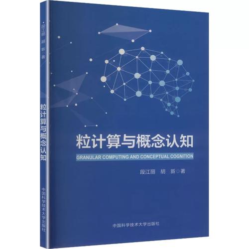 粒计算与概念认知 从理论到计算机软件工程的知识诠释